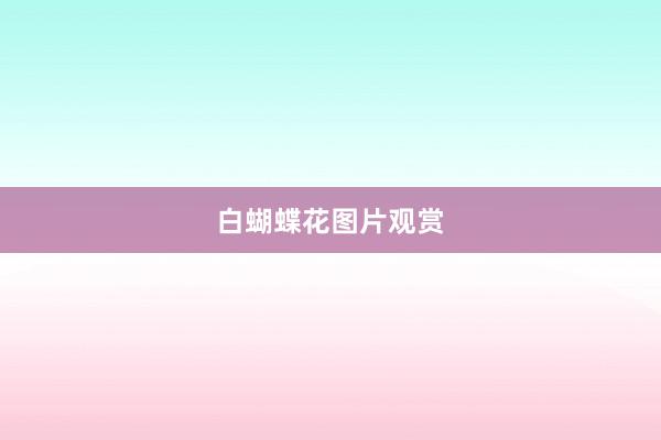 白蝴蝶花图片观赏