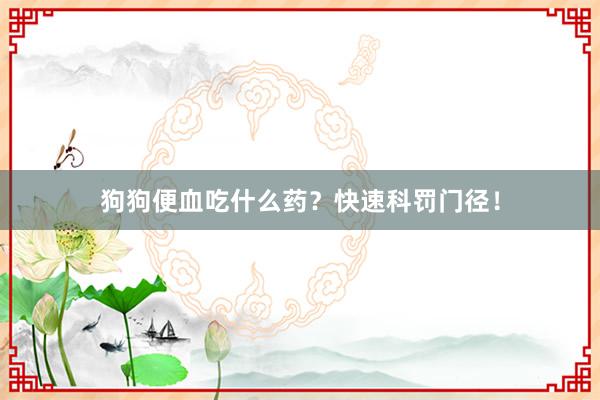 狗狗便血吃什么药？快速科罚门径！