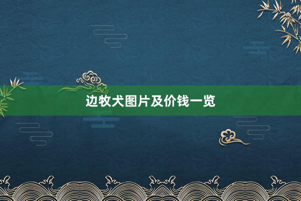 边牧犬图片及价钱一览